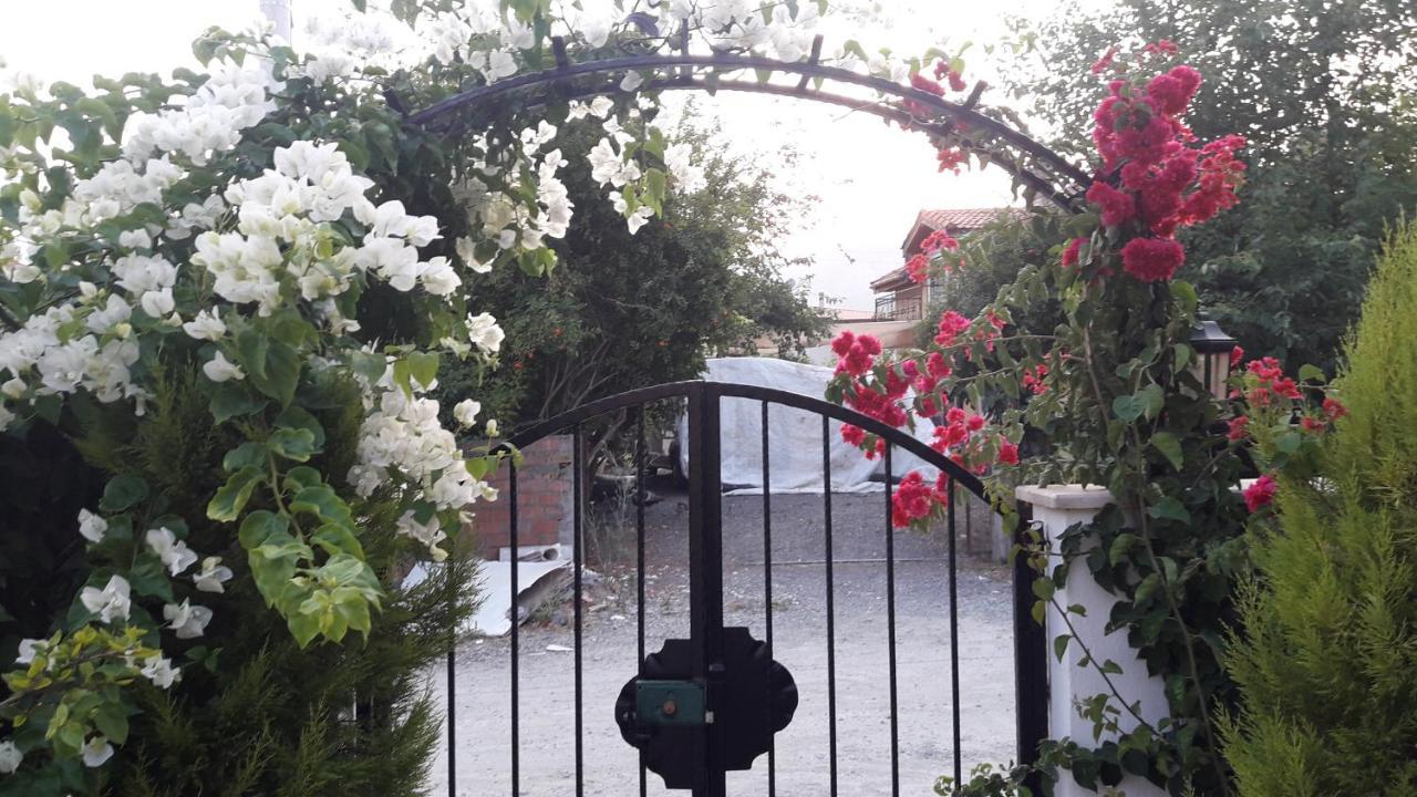 Villa Ebrar Dalyan Мугла Экстерьер фото