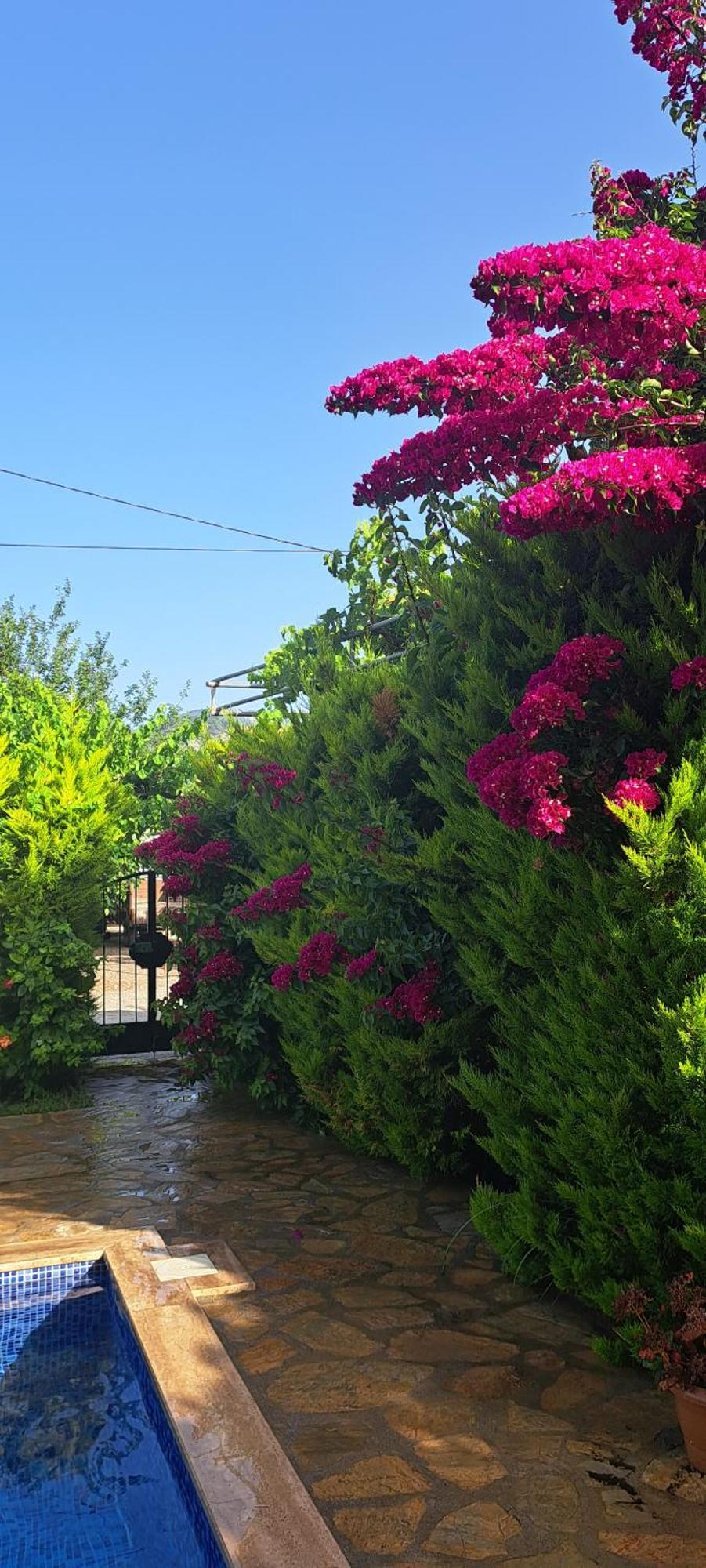 Villa Ebrar Dalyan Мугла Экстерьер фото